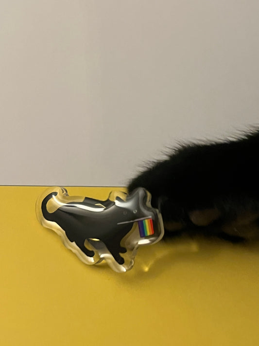 Pride Bean Acrylic Pin