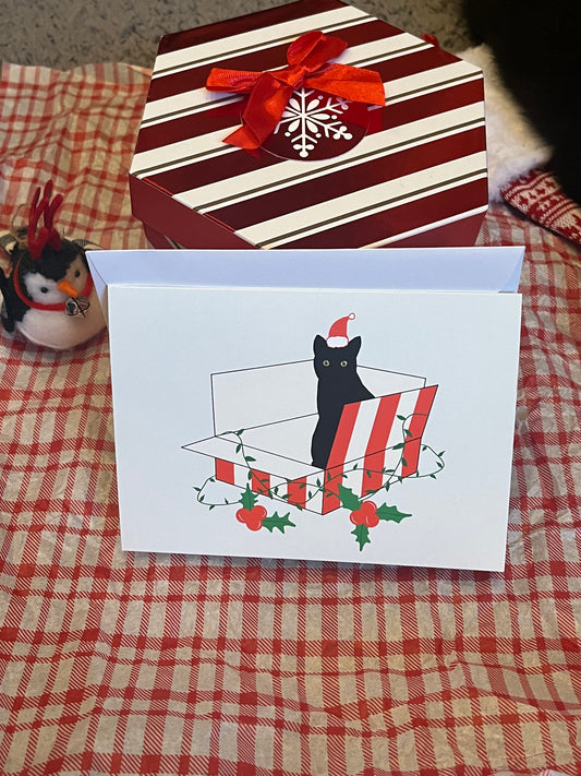 Christmas Box Bean